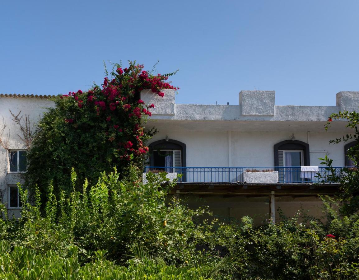 Gorgona Hotel Amoudara Lasithiou Dış mekan fotoğraf